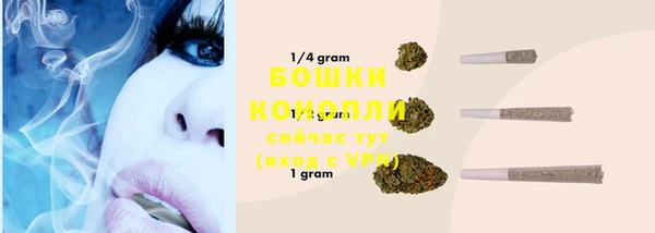 PSILOCYBIN Нефтекумск