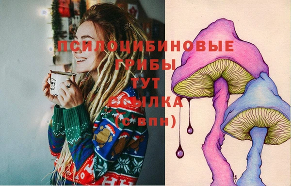 PSILOCYBIN Нефтекумск