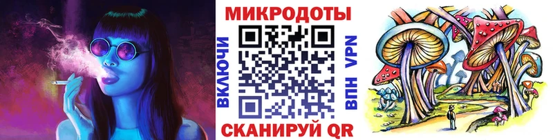 Галлюциногенные грибы Psilocybe  Купить где  Ессентукская 